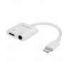 Adaptador de Lightning a AUX 3.5mm compatible con carga marca Steren.